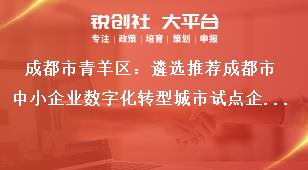 成都市青羊區：遴選推薦成都市中小企業數字化轉型城市試點企業（第二批）工作要求獎補政策