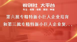 第六批專精特新小巨人企業培育和第三批專精特新小巨人企業復核工作企業申請要求獎補政策