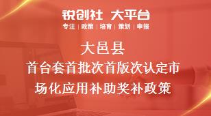 大邑縣首臺套首批次首版次認定市場化應用補助相關配套獎補政策