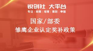 國家/部委雛鷹企業認定獎補政策