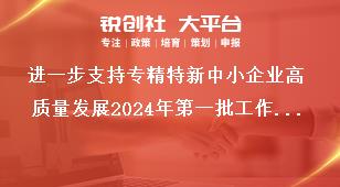 進一步支持專精特新中小企業高質量發展2024年第一批工作要求獎補政策