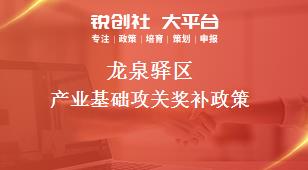 龍泉驛區產業基礎攻關相關配套獎補政策