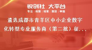 遴選成都市青羊區中小企業數字化轉型專業服務商（第二批）征集遴選程序獎補政策