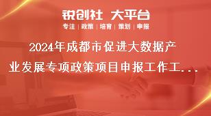 2024年成都市促進大數據產業發展專項政策項目申報工作工作要求獎補政策