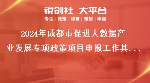 2024年成都市促進(jìn)大數(shù)據(jù)產(chǎn)業(yè)發(fā)展專項(xiàng)政策項(xiàng)目申報工作其它相關(guān)要求獎補(bǔ)政策