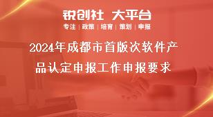 2024年成都市首版次軟件產(chǎn)品認定申報工作申報要求獎補政策