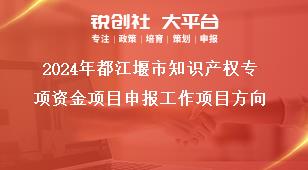 2024年都江堰市知識產權專項資金項目申報工作項目方向獎補政策