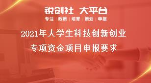 2021年大學生科技創新創業專項資金項目申報要求獎補政策