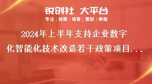 2024年上半年支持企業數字化智能化技術改造若干政策項目申報工作申報流程獎補政策