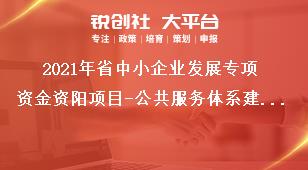 2021年省中小企業發展專項資金資陽項目-公共服務體系建設補助標準獎補政策