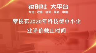 攀枝花2020年科技型中小企業評價截止時間獎補政策