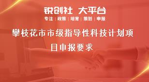 攀枝花市市級指導性科技計劃項目申報要求獎補政策