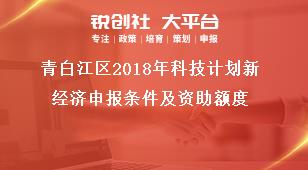 青白江區(qū)2018年科技計(jì)劃新經(jīng)濟(jì)申報(bào)條件及資助額度獎(jiǎng)補(bǔ)政策