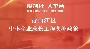 青白江區中小企業成長工程相關配套獎補政策