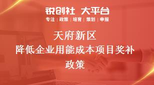 天府新區降低企業用能成本項目相關配套獎補政策