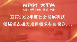 宜賓2022年度社會發展科技領域重點研發項目需求征集報送要求獎補政策