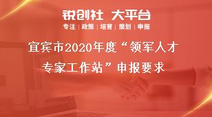 宜賓市2020年度“領軍人才專家工作站”申報要求獎補政策