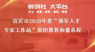 宜賓市2020年度“領軍人才專家工作站”組織推薦和遴選程序獎補政策