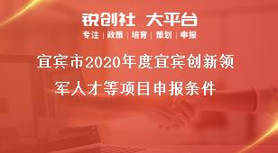 宜賓市2020年度宜賓創新領軍人才等項目申報條件獎補政策