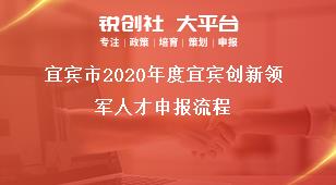 宜賓市2020年度宜賓創新領軍人才申報流程獎補政策