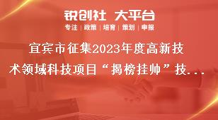 宜賓市征集2023年度高新技術領域科技項目“揭榜掛帥”技術需求有關事項獎補政策